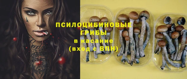 дживик Нефтекумск