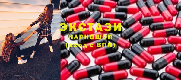 молекула духа Новозыбков