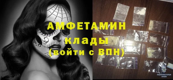 молекула духа Новозыбков
