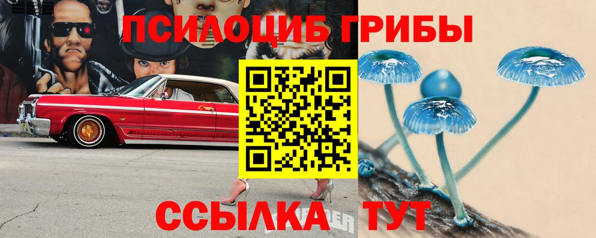 Галлюциногенные грибы мицелий  Еманжелинск  Галлюциногенные грибы Cubensis 