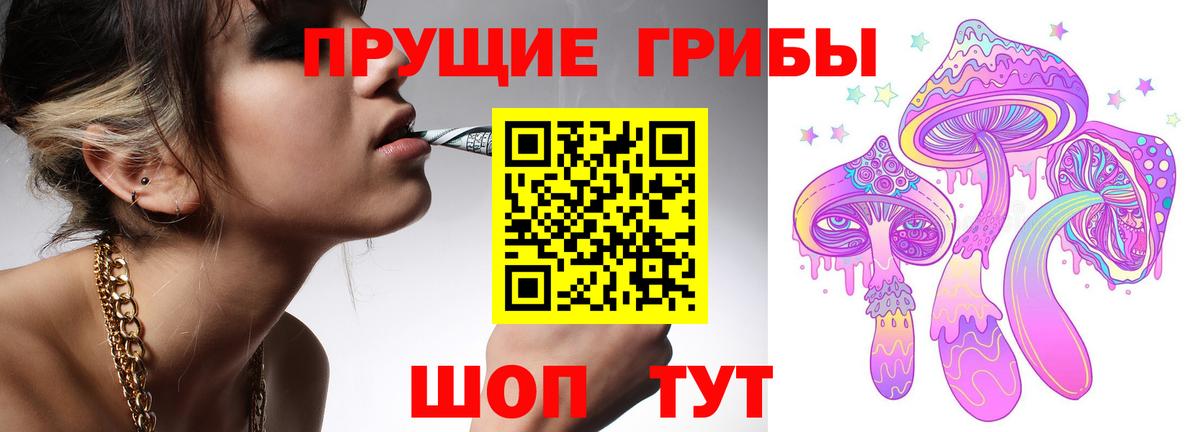 Псилоцибиновые грибы Psilocybine cubensis Еманжелинск