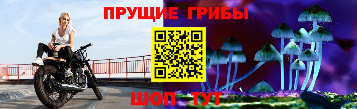 Галлюциногенные грибы Psilocybe  Вход с VPN  Еманжелинск 